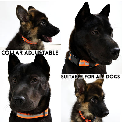 Reflective Leash Set It Can Reflect Light Sources Effectively Enhancing The Safety Of Pets During Outdoor Outings - 5 - cjdroshippping