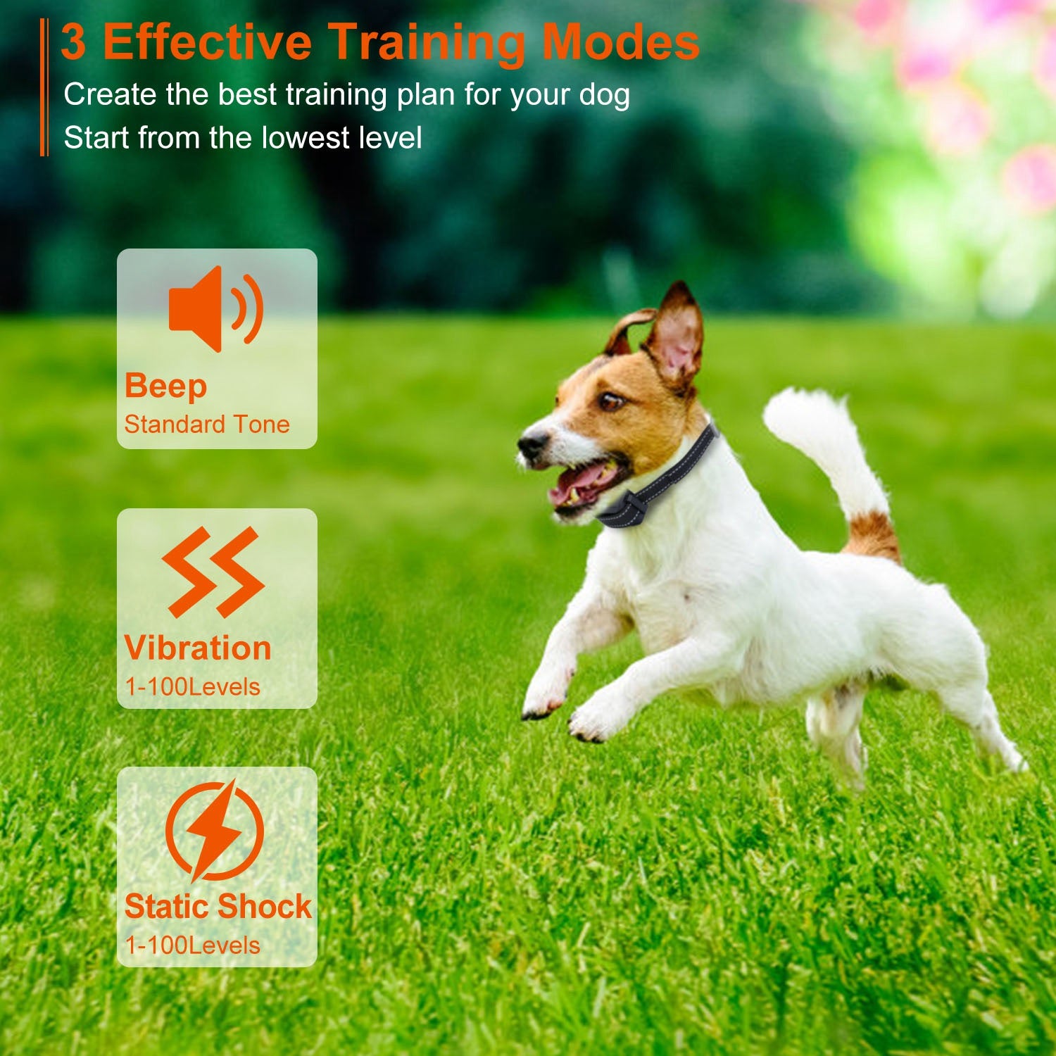 Train Collar OR Receiver Only Options - 3280FT Dog Training Collar IP67 Waterproof Pet Beep Vibration Electric Shock Collar 3 Channels Rechargeable Transmitter Receiver Trainer With Flashlight - 5 - CJ