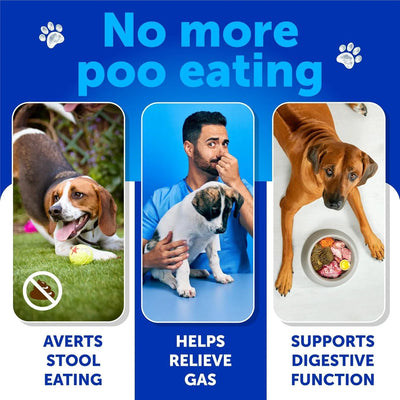 No Poo Chews For Dogs Puppy Coprophagia Stool Eating Deterrent Prevent Dog From Eating Poop Stop Eating Poop Treats With Probiotics & Enzymes Immune Digestive Gut Health Support Supplement - 5 - CJ