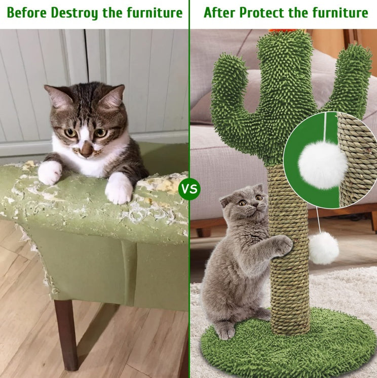 Cactus Cat Climbing Tree 2 - in - 1 - Solid Wood Base Natural Sisal Scratching Pillar With Hanging Ball Toy, Indoor Cat Multi - level Activity Center - 5 - CJ