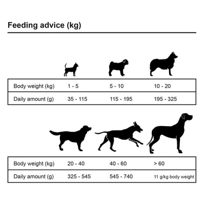 Dry Dog Food Adult Essence Beef - 5 - CJ