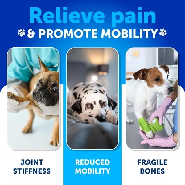 Hemp Hip And Joint Supplement For Dogs Glucosamine For Dogs - 5 - CJ