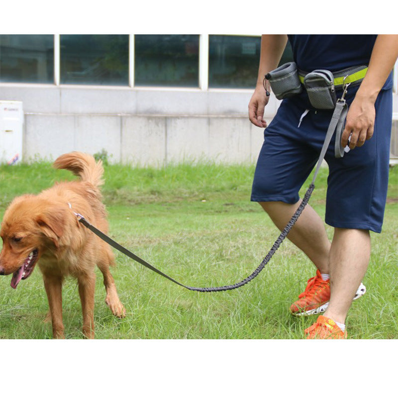 Adjustable Hands Free Dog Leash - 0 - CJ