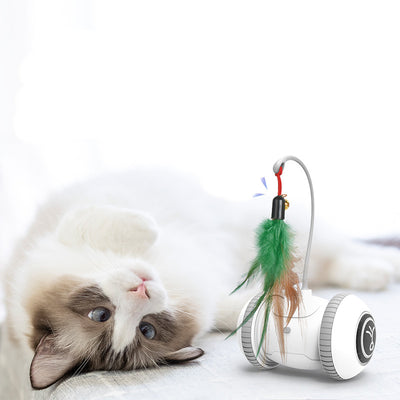 Interactive Cat Toy With Interchangeable Heads  Pet Feather Toys - 0 - CJ
