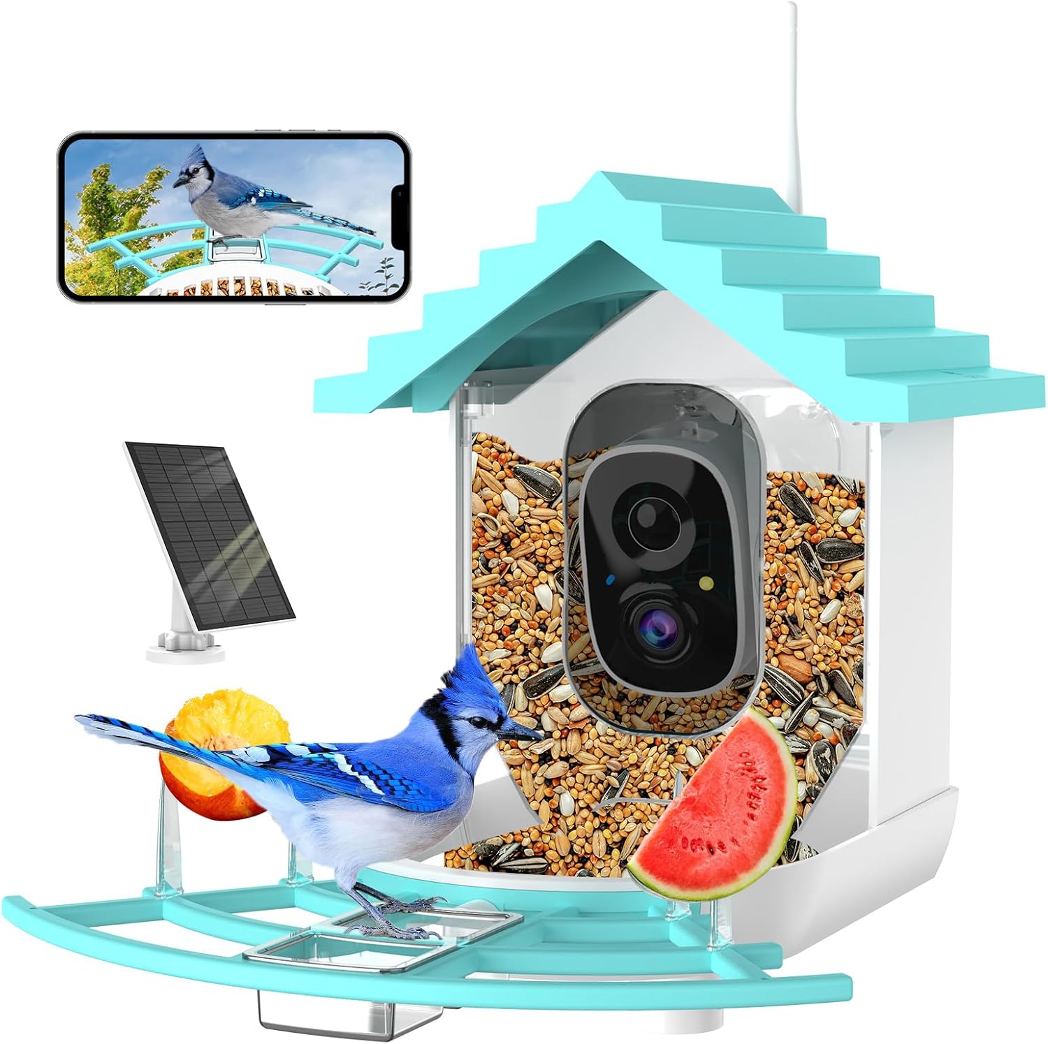 Bird Feeder With Camera, AI Identify Birds Species, Smart Birds Camera With Solar Powered, Auto Record 2K Birds Video In Backyard, Instant Notifications, Ideal Gifts For Family And Bird Lovers by CJ