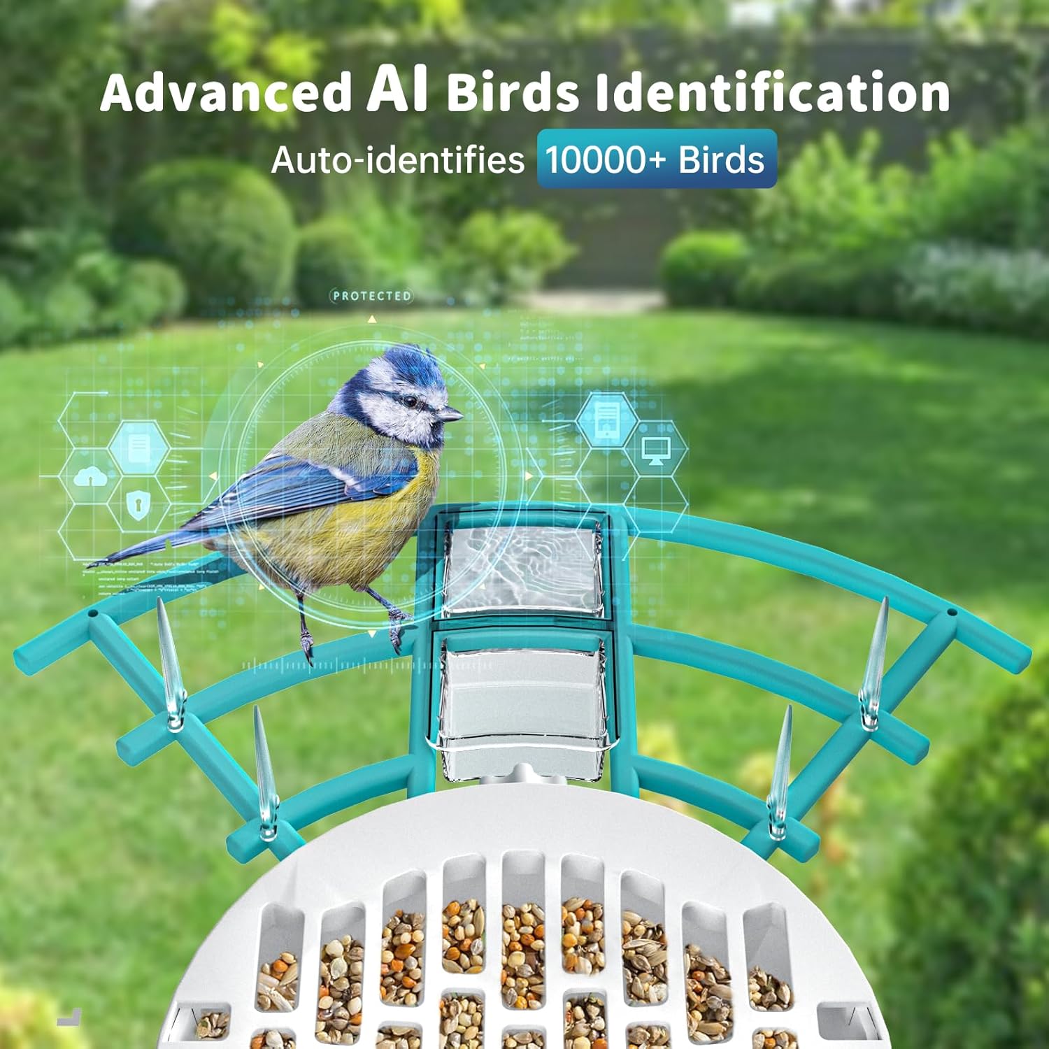 Bird Feeder With Camera, AI Identify Birds Species, Smart Birds Camera With Solar Powered, Auto Record 2K Birds Video In Backyard, Instant Notifications, Ideal Gifts For Family And Bird Lovers by CJ