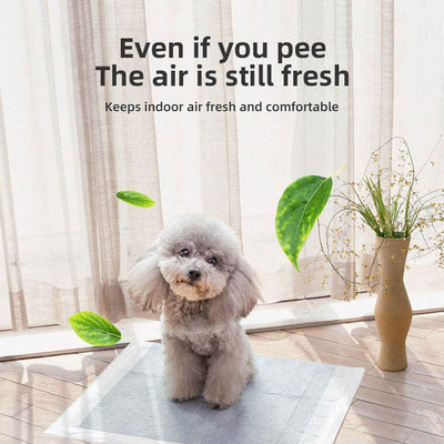 Pet Thickened Deodorant Urine Pad - 0 - CJ