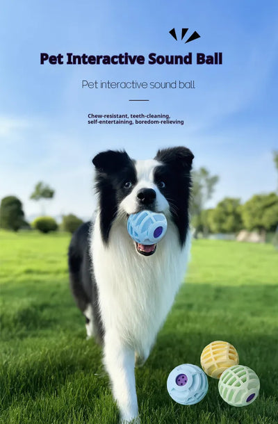 Pet Interactive Sound Ball,The Mellow Dog Cat Pet Voice Ball,Interactive Pet Squeaky Toys - 5 - CJ