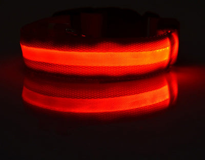 Nylon LED Pet Dog Luminous Collar Night Safety Flashing Glow in Dark Dog Cat Leash Adjustable Pet Supplies - 0 - CJ
