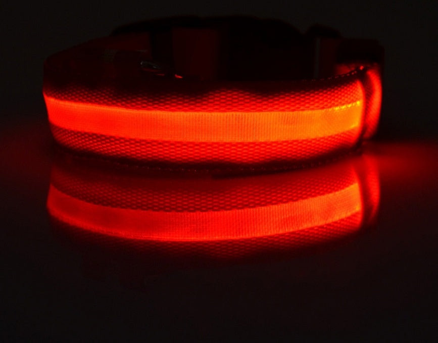 Nylon LED Pet Dog Luminous Collar Night Safety Flashing Glow in Dark Dog Cat Leash Adjustable Pet Supplies - 0 - CJ