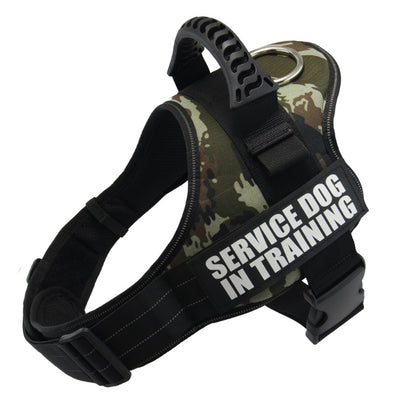 Explosion - proof Chest Harness Pet Leash - 7 - CJ