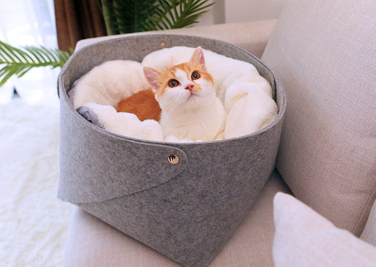 pet bed - 0 - CJ