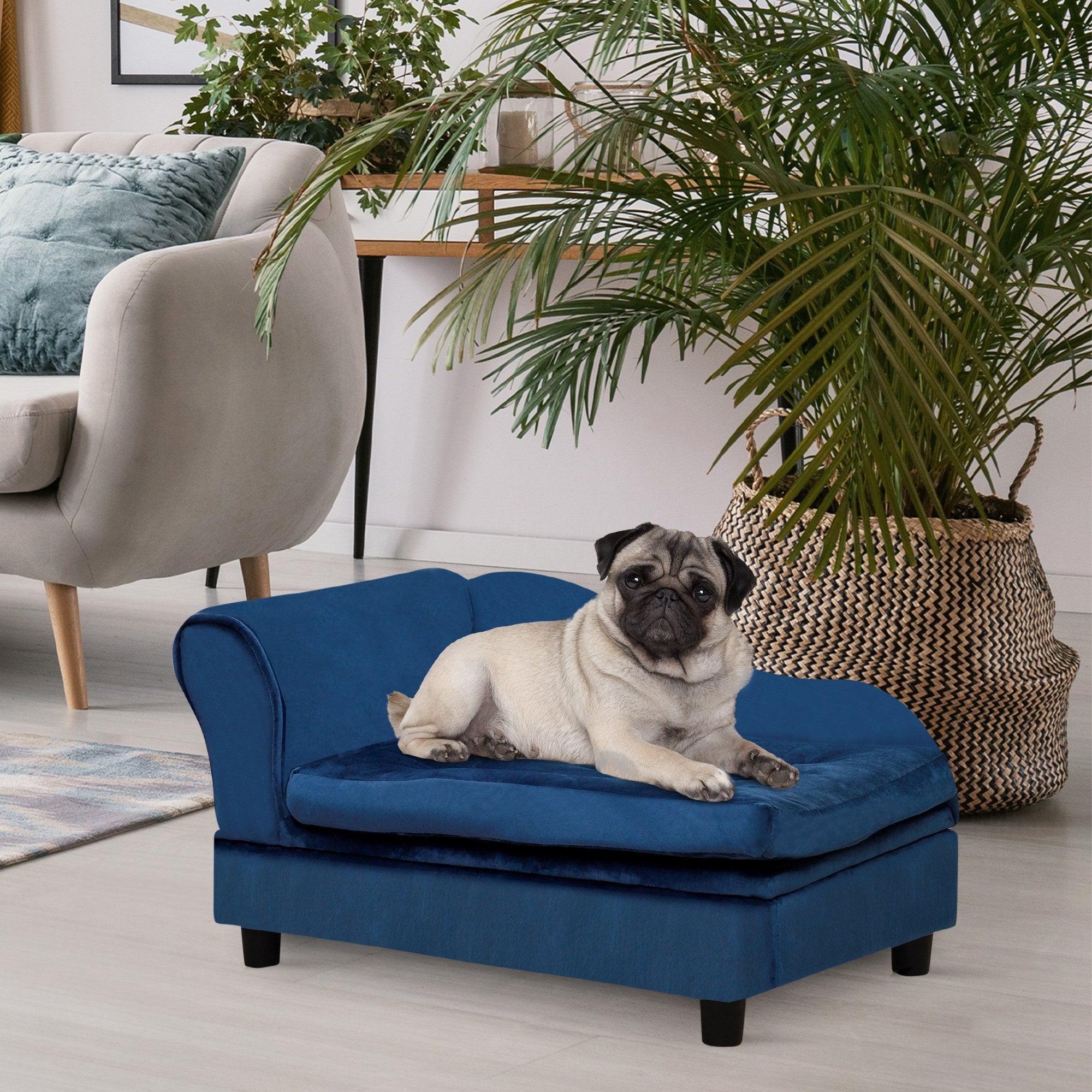 Luxury Small Dog Bed With Hidden Storage - 5 - CJ