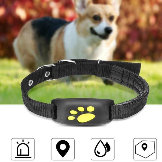 GPS Pet Tracker - 0 - CJ