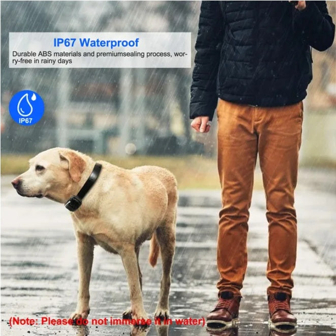 Dog Training Collar Receiver IP67 Waterproof - 5 - CJ