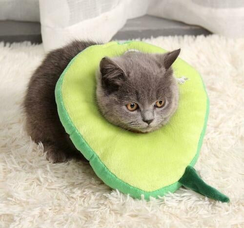 Adjustable Pet Neck Cone Recovery Pet Cat Recovery Collar Cat Soft Lemon Neck Cone Adjustable Pet E Collar After Surgery, Wound Healing Protective Cat Elizabethan Collar For Kitten & Puppy - 5 - CJ
