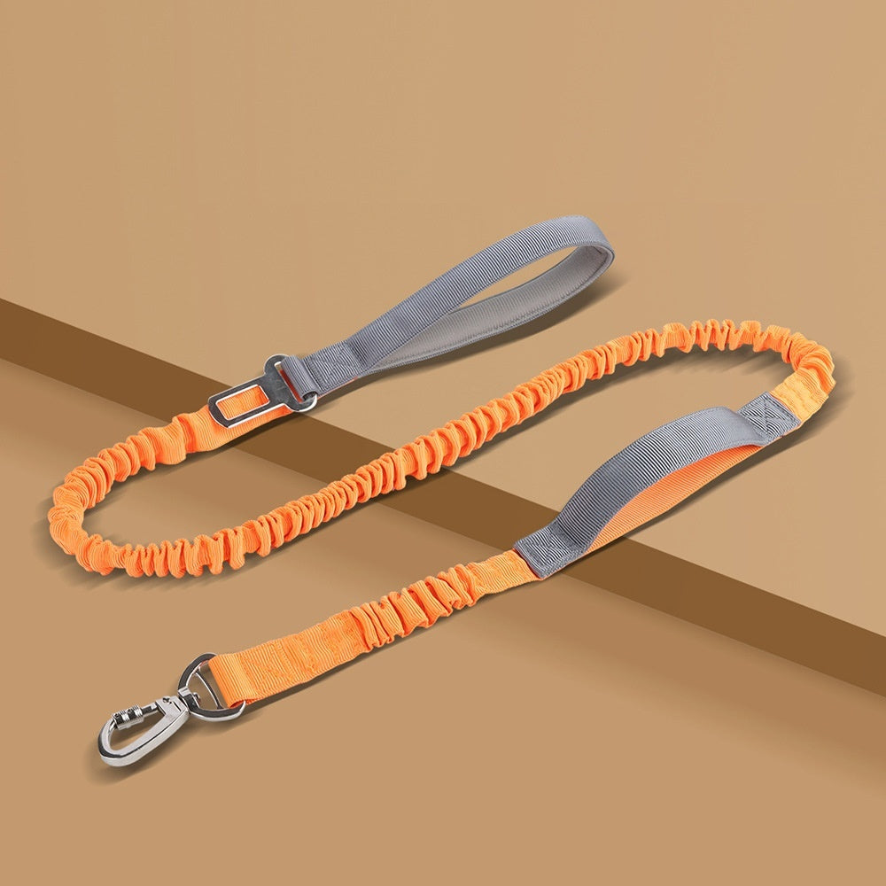 Dog Leash Anti - Burst Reflective Outdoor - 0 - CJ