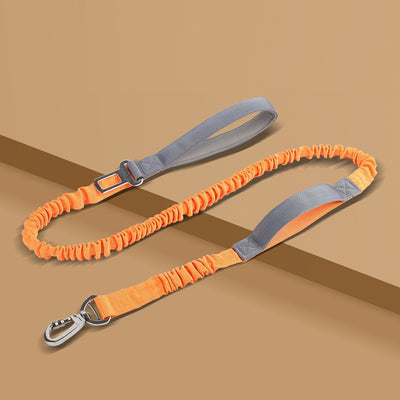 Dog Leash Anti - Burst Reflective Outdoor - 0 - CJ