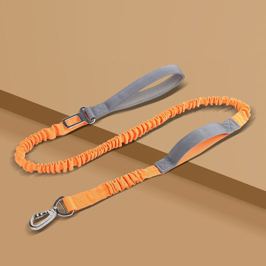 Dog Leash Anti - Burst Reflective Outdoor - 0 - CJ