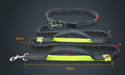 Amazon direct pet supplies multi - function running reflective pull dog leash double elastic dog leash traction - 0 - CJ
