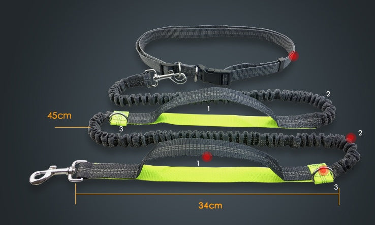 Amazon direct pet supplies multi - function running reflective pull dog leash double elastic dog leash traction - 0 - CJ