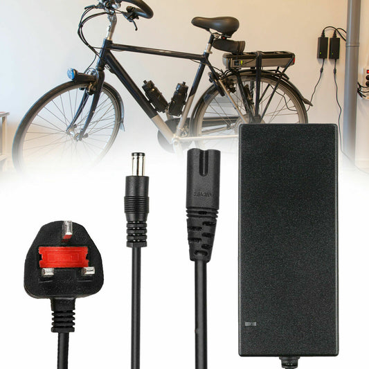 42V2A Charger - 5 - CJ