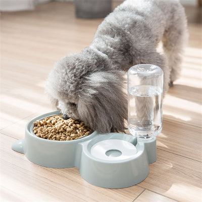 Dog bowl - 0 - CJ