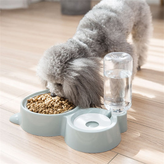 Dog bowl - 0 - CJ