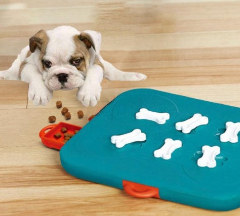 Pet Casino Treasure Hunt Puzzle Food Spill Toy - 0 - CJ