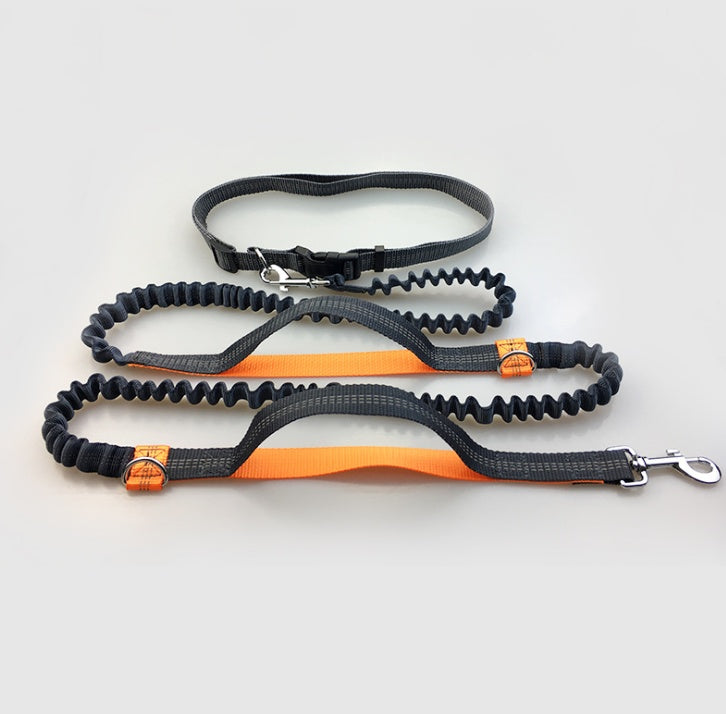 Amazon direct pet supplies multi - function running reflective pull dog leash double elastic dog leash traction - 0 - CJ - Orange - CJJJCWGX00044 - Orange