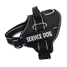 Personalization Of Pet Chest Strap Products - 7 - CJ - Black - XL - CJGX163660310JQ