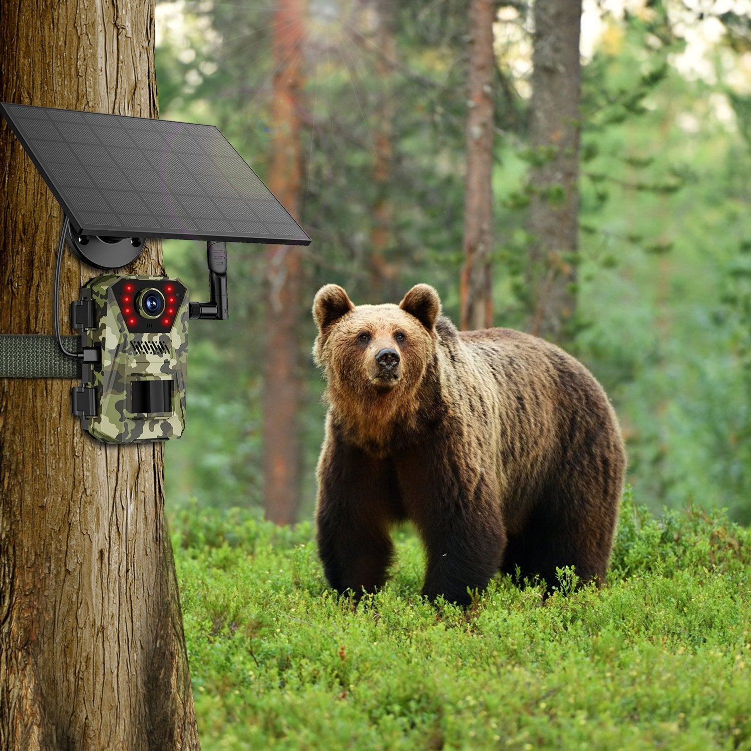 1Pc 4G 4K 30FPS Solar Trail Camera Outdoor Wildlife Camera Motion Activated IP66 Waterproof With 140 Degree Viewing Angle No Glow Night Vision SIM Card APP Control No WiFi Needed - 5 - CJ