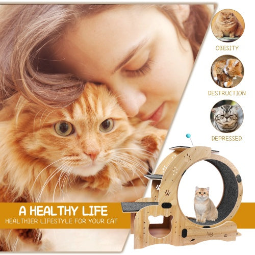Cat Wheel 6 - in - 1 Cat Fitness Wheel - 5 - CJ