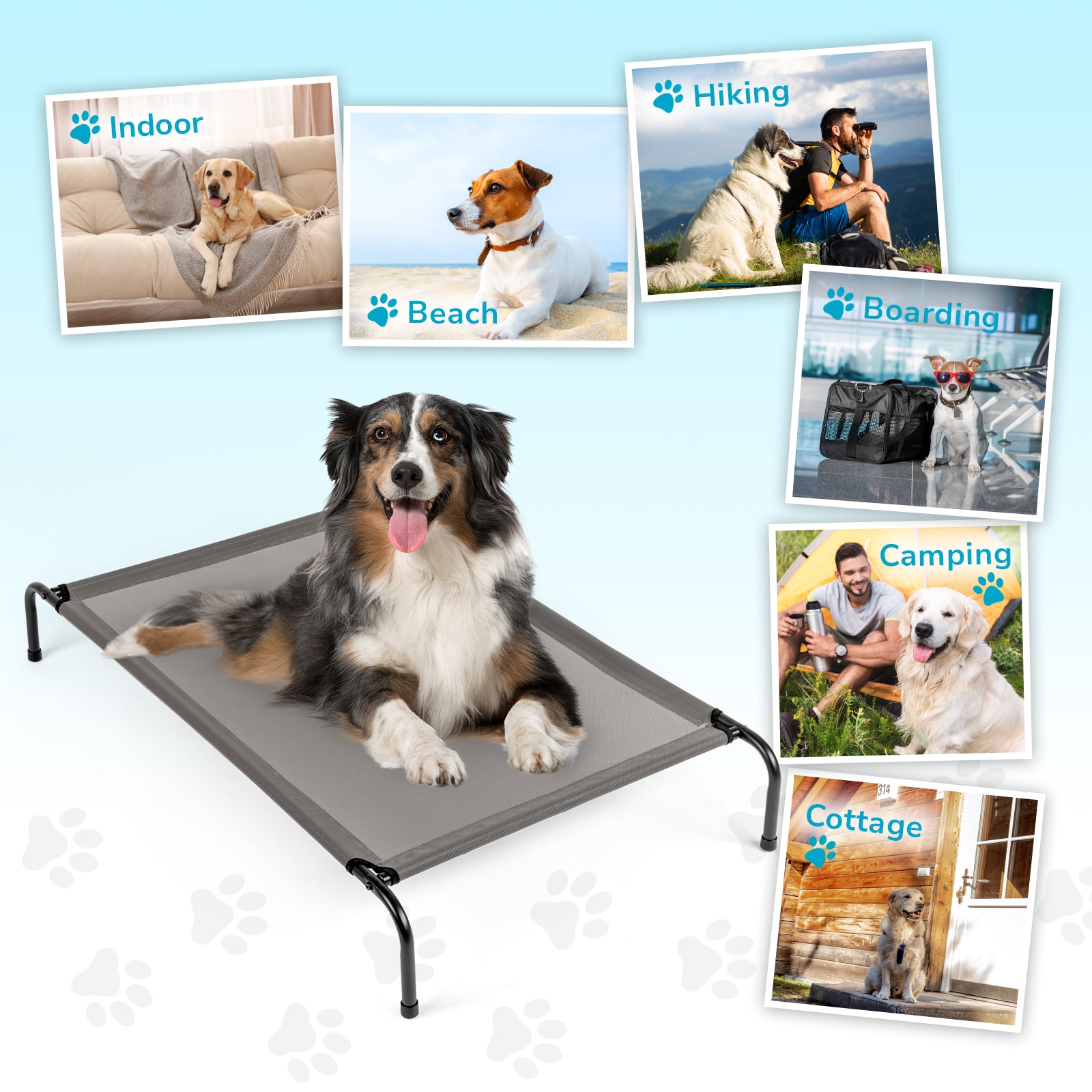 Pet Beds - 5 - CJ