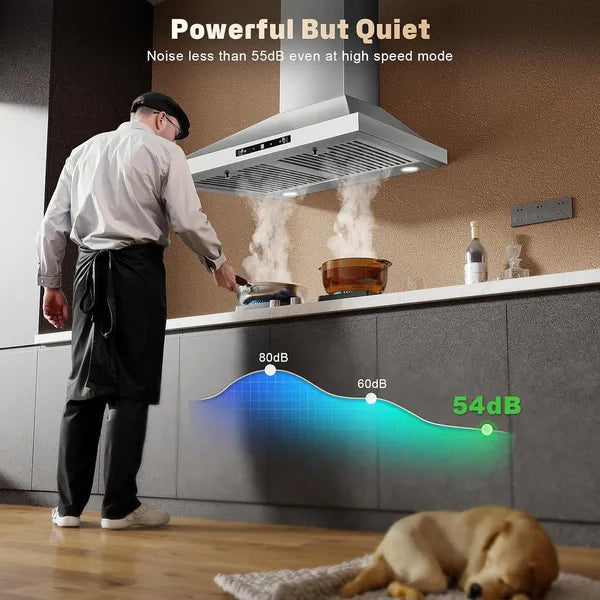 24-Inch 450 CFM Stainless Steel Wall-Mount Range Hood