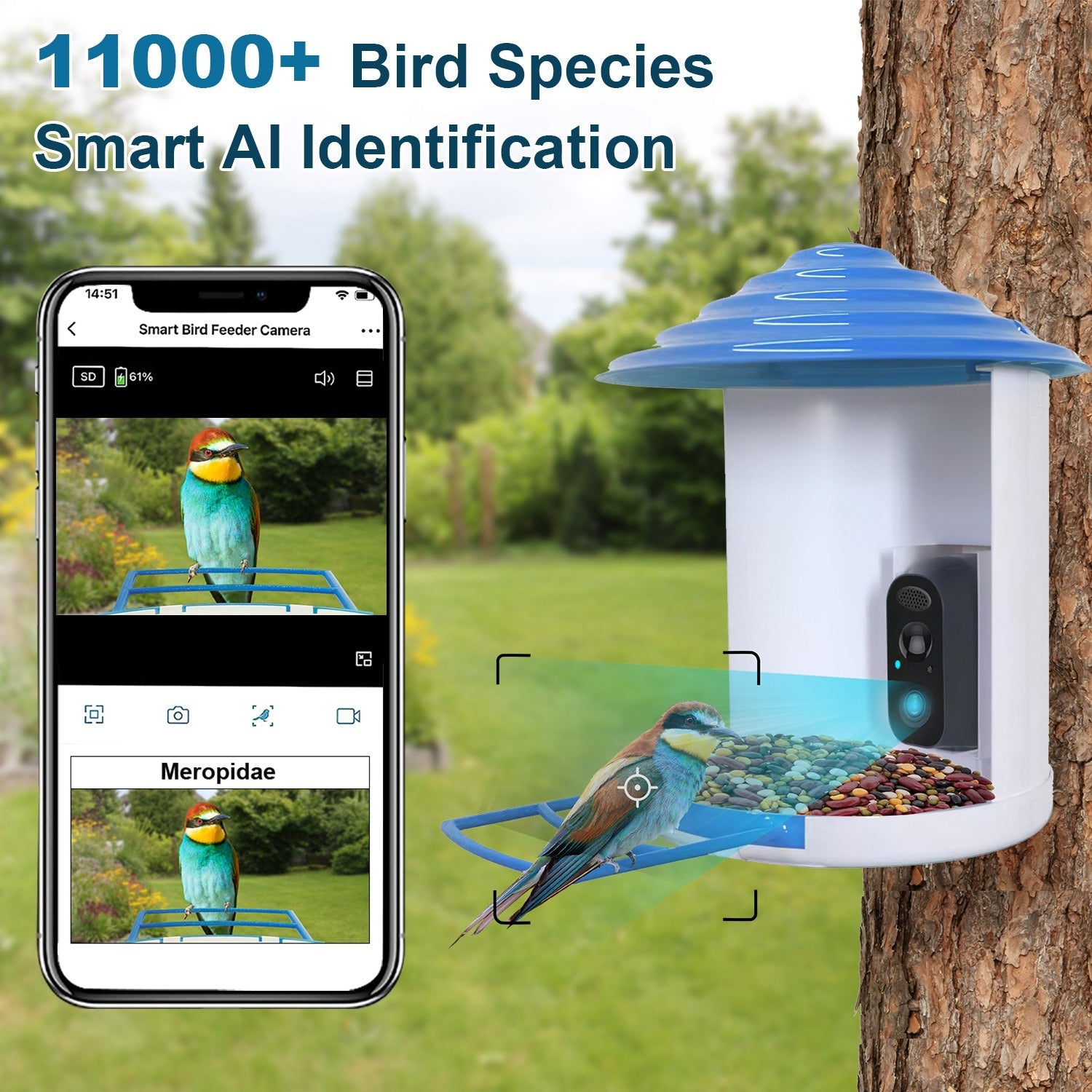 Smart Bird Feeder With Solar Powered Camera 1080P HD AI Identify PIR Motion Auto Capture Video Cloud Card Storage WiFi Connection App Control IP65 Waterproof by CJ