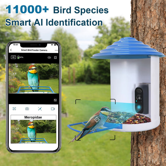 Smart Bird Feeder With Solar Powered Camera 1080P HD AI Identify PIR Motion Auto Capture Video Cloud Card Storage WiFi Connection App Control IP65 Waterproof - 5 - CJ