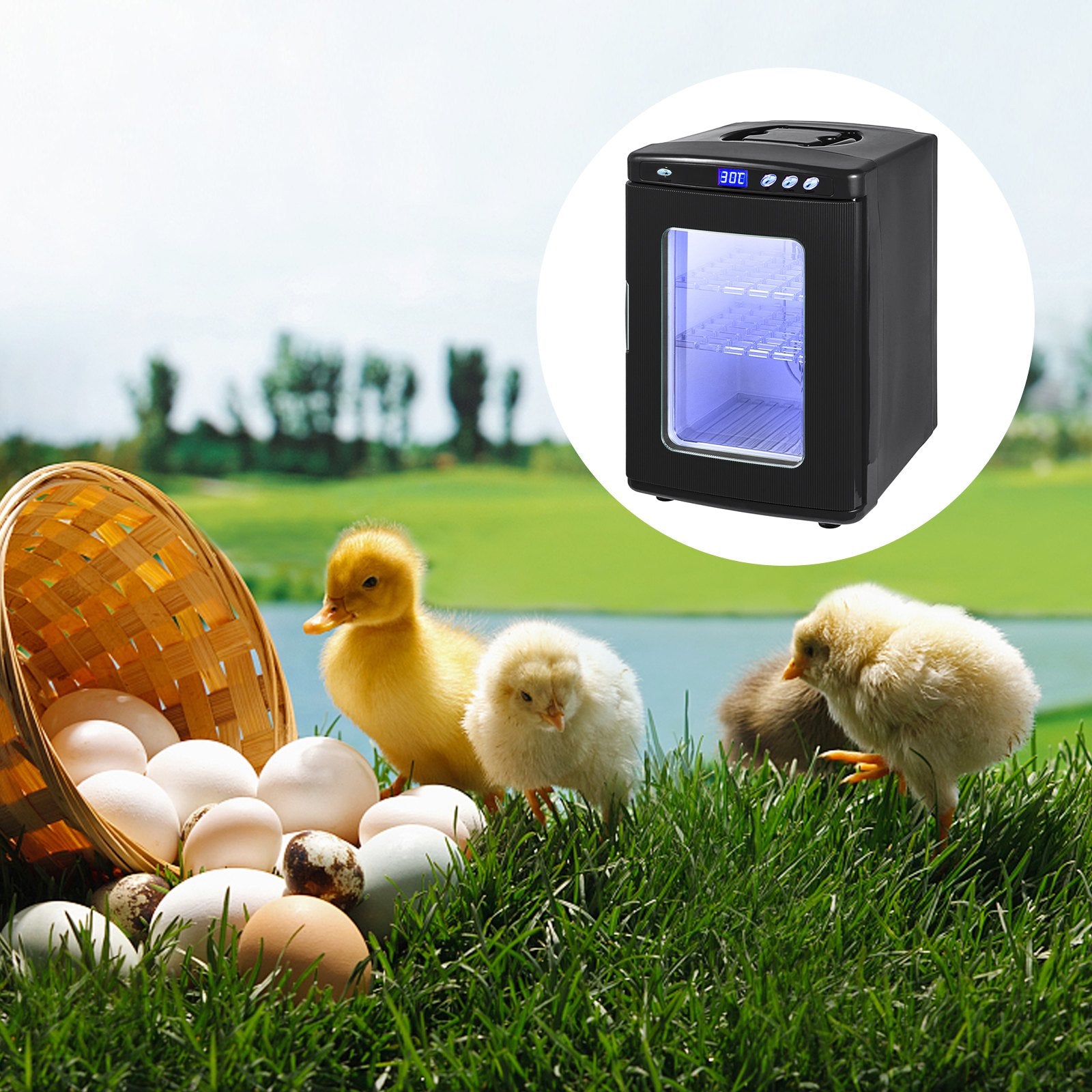 Black Reptile Incubator 25L Scientific Lab Incubator Digital Incubator Cooling And Heating 5 - 42°C Reptile Egg Incubator 12V/110V Work For Small Reptiles - 5 - CJ