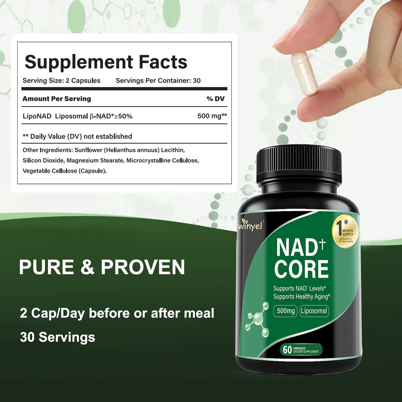 60 Capsules Of High - concentration Liposomal NAD Enhancer - Energy, Focus, And Healthy Aging, Containing Nicotinamide Riboside, Resveratrol, And Rutin - High - quality, High - purity Formula - 5 - CJ