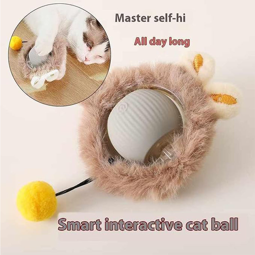 Interactive Rolling Cat Ball - 5 - CJ