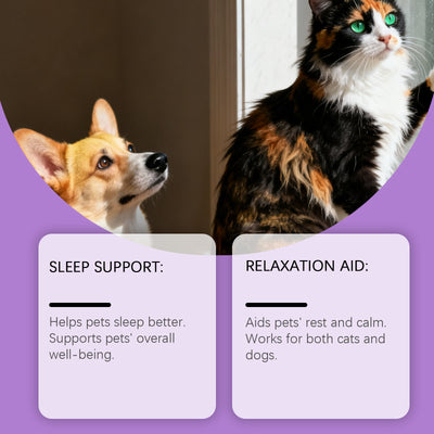 Kriath Pet Cat And Dog Care Drops Gentle, Nourishing, And Soothing Drops For Cats And Dogs, Ideal For Daily Sleep And General Care - 0 - CJ