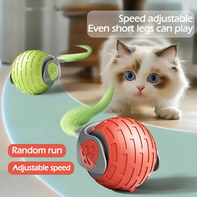 New Interactive Cat Toys Ball Auto Electric Rolling Ball Toys For Cat Kitty Pets Smart Automatic Teaser USB Rechargeable Cat Toy Pet Products - 0 - CJ