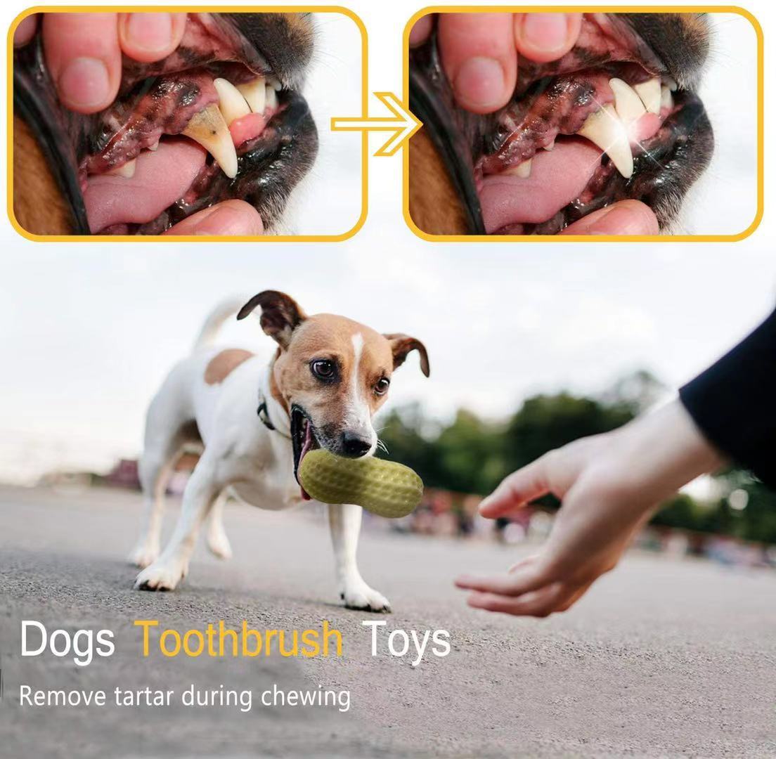 Funny Pet Dog Squeaky Toys For Small Middle Dogs Bite Resistant Puppy Cat Dogs Toys Pets Rubber Peanut Clean Tooth Chew Toy - 5 - CJ
