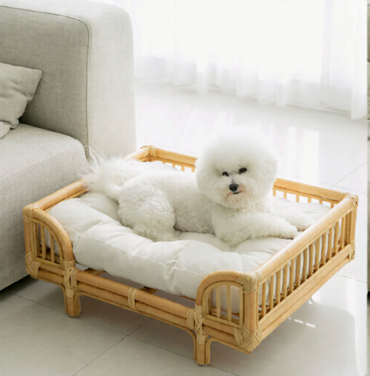 Natural Rattan Square Dog Bed Minimalist Handmade Pet Bed - 0 - CJ