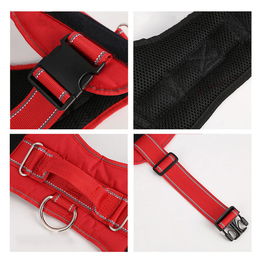 Personalization Of Pet Chest Strap Products - 7 - CJ
