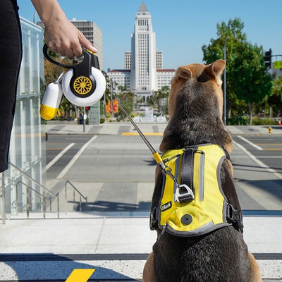 Dog Anti Pull Automatic Retractable Leash Auto Retracting - 0 - CJ