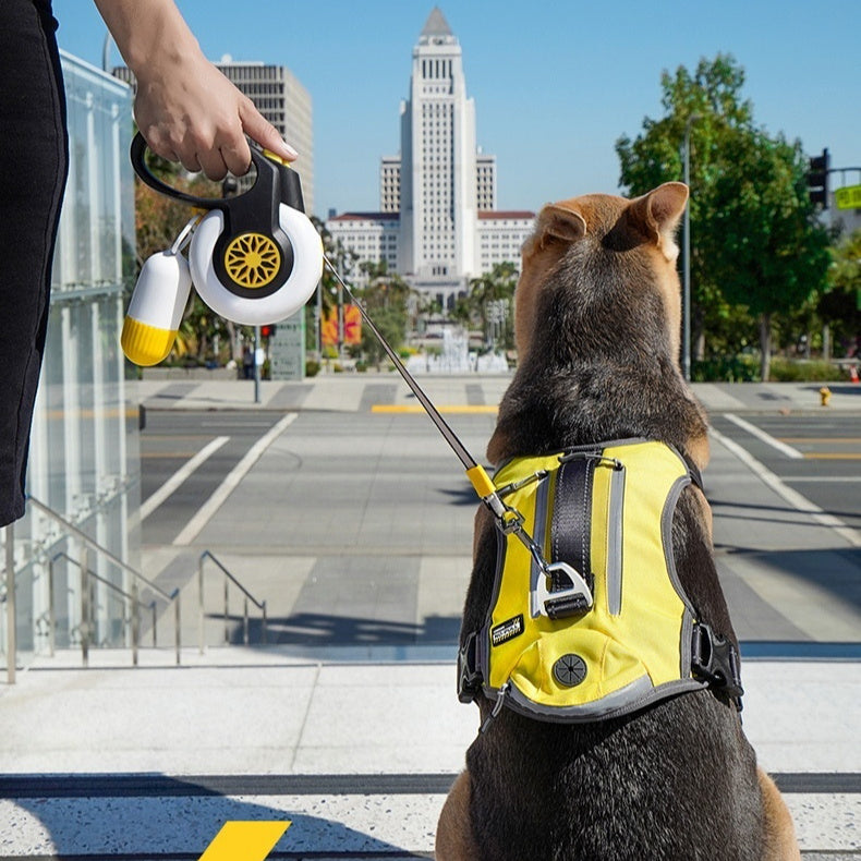 Dog Anti Pull Automatic Retractable Leash Auto Retracting - 0 - CJ