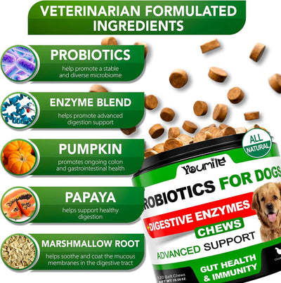 Youmile Probiotics For Dogs Soft Chews For Seasonal Allergies, Gut, And Digestive Health. Vet - Reviewed, Premium - Quality Ingredients - Supplements Dog  Vitamin Hip  And  Joint  Supplement - 5 - CJ