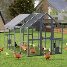 Outdoor Chicken Coop Fence - 5 - CJ