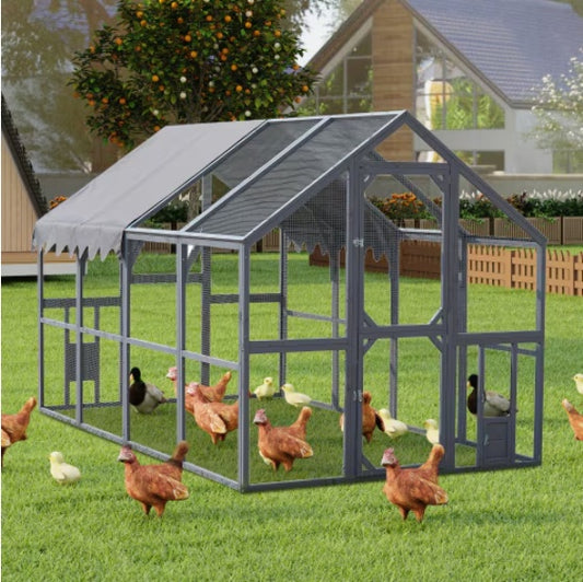 Outdoor Chicken Coop Fence - 5 - CJ